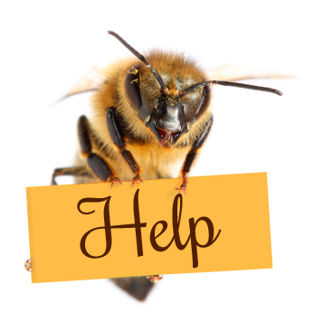 Aider les abeilles