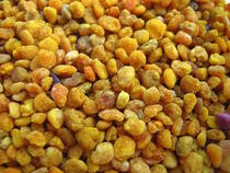 Famille Pollen